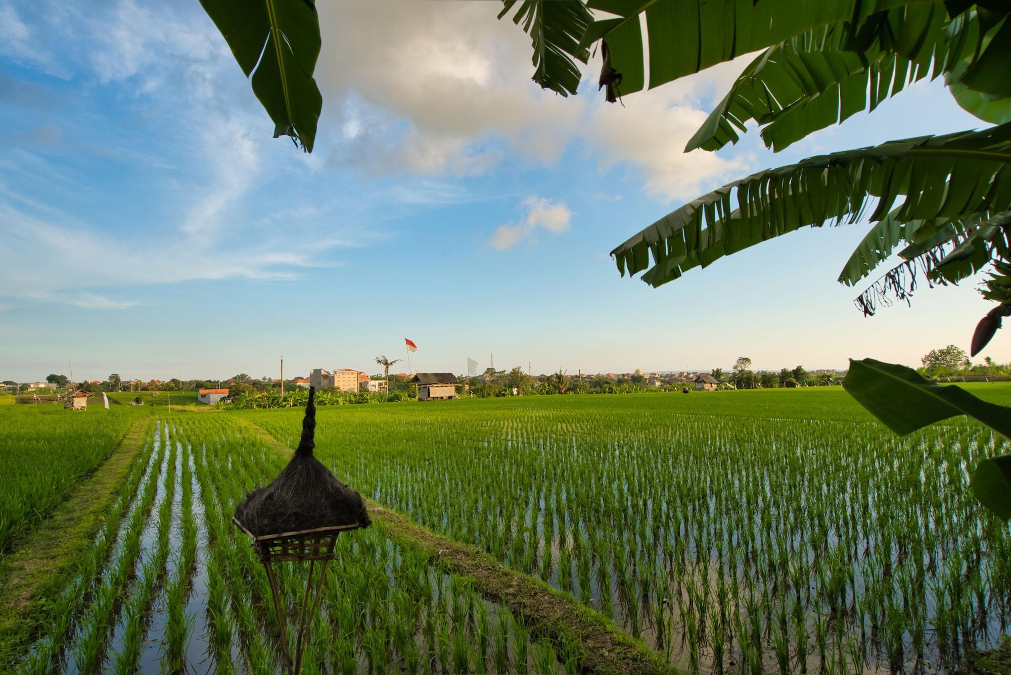 Sotis Villas Canggu Zewnętrze zdjęcie