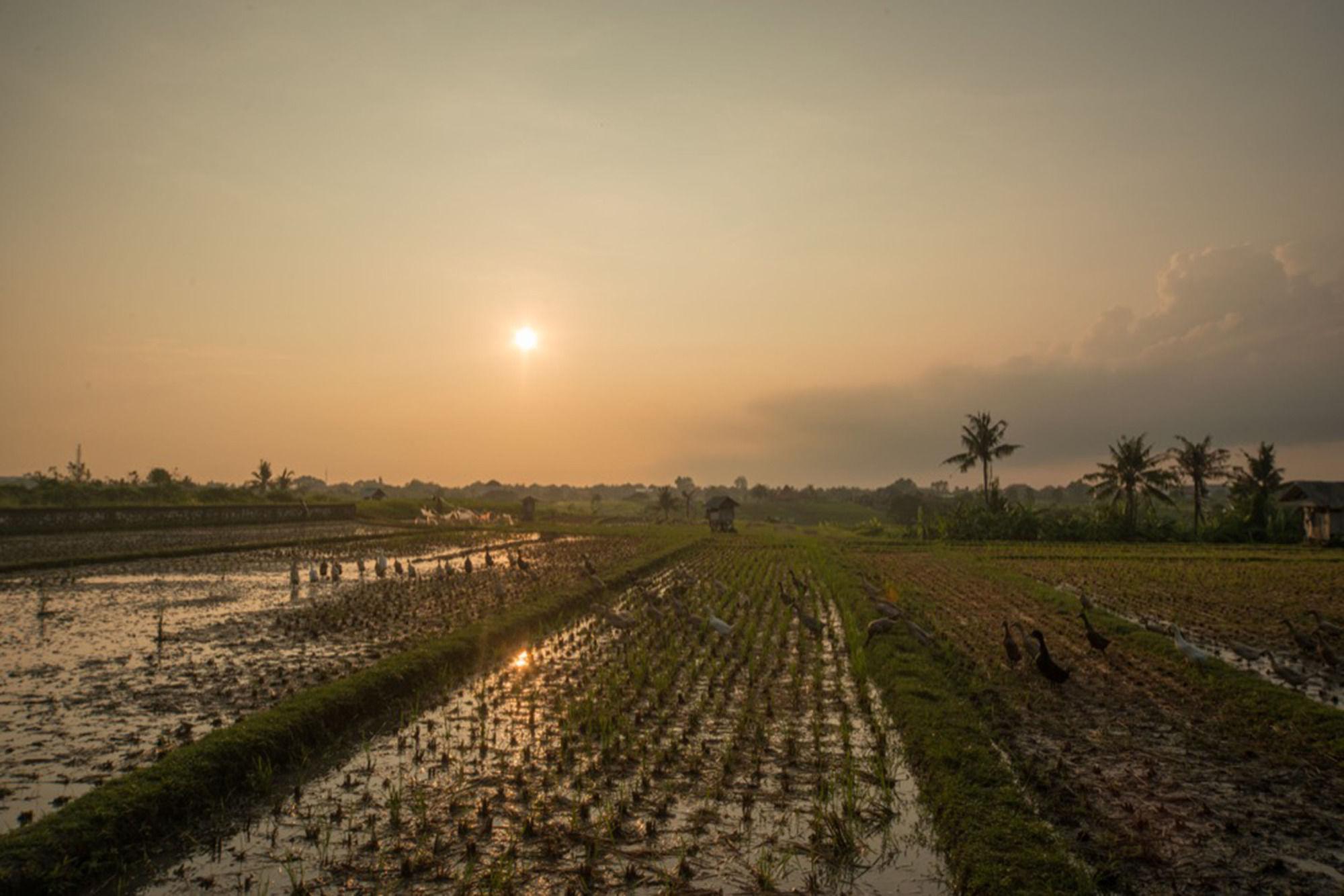 Sotis Villas Canggu Zewnętrze zdjęcie